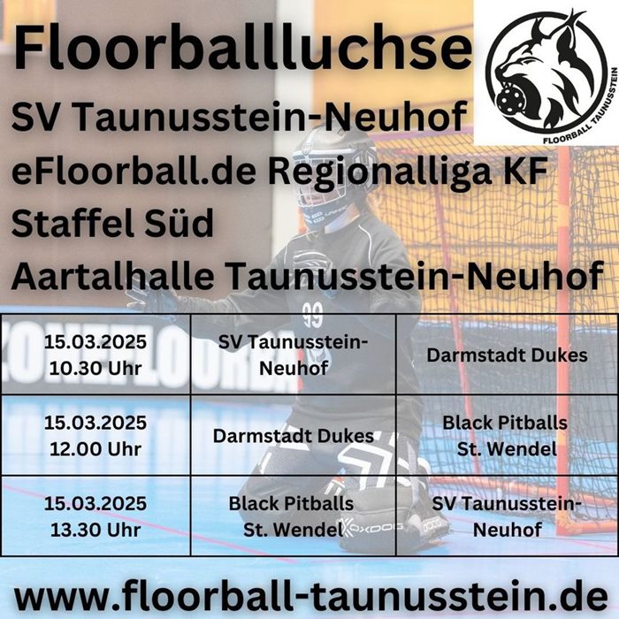Erwachsenenspieltag am 15.3.2025 der Floorballluchse Taunusstein-Neuhof